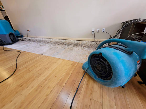 Professional Burst Pipe Water Damage technician working in Martinsville, OH